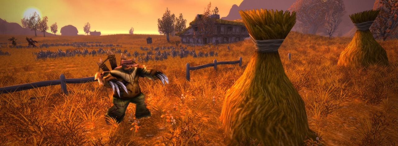 „Mój dysk ci dziękuje”. Gracz zauważył, że WoW przechowuje nawet setki gigabajtów zbędnych plików, które trzeba usuwać ręcznie, źródło grafiki: Blizzard Entertainment.