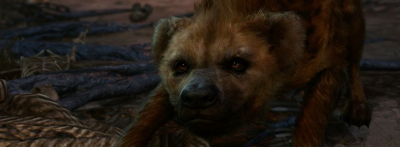 Do drużyny w Baldur's Gate 3 dołączycie teraz nowego zwierzaka. Fani prosili o to od premiery i wzięli sprawy w swoje ręce, źródło grafiki: Baldur's Gate 3 | Larian Studios.