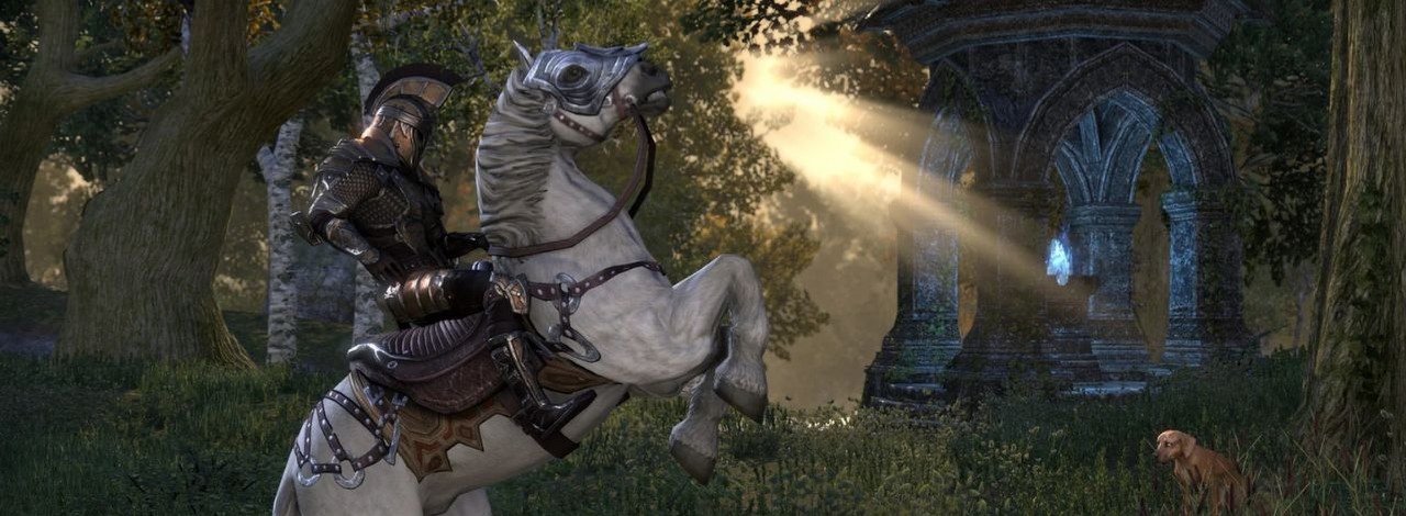 Gracz zmienił konia z Obliviona w rakietę. Tak radykalne zaczarowanie wierzchowca dało komiczny i niemożliwy do kontrolowania efekt, źródło grafiki: Bethesda Softworks.