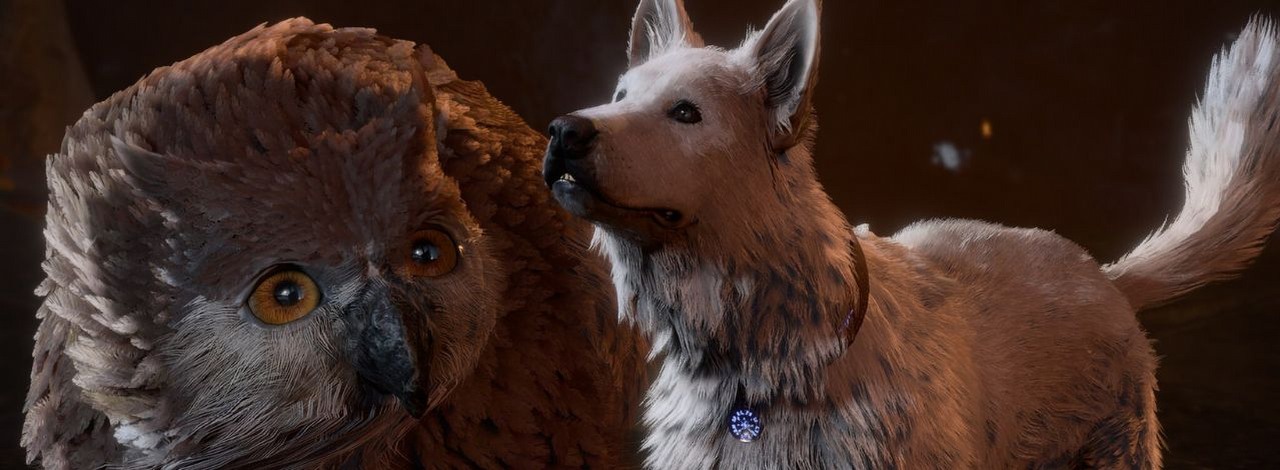 Gracz popełnił najbardziej bolesny błąd w Baldur's Gate 3. Chciał wykorzystać smutny los jednej z postaci i słono za to zapłacił, źródło grafiki: Larian Studios.