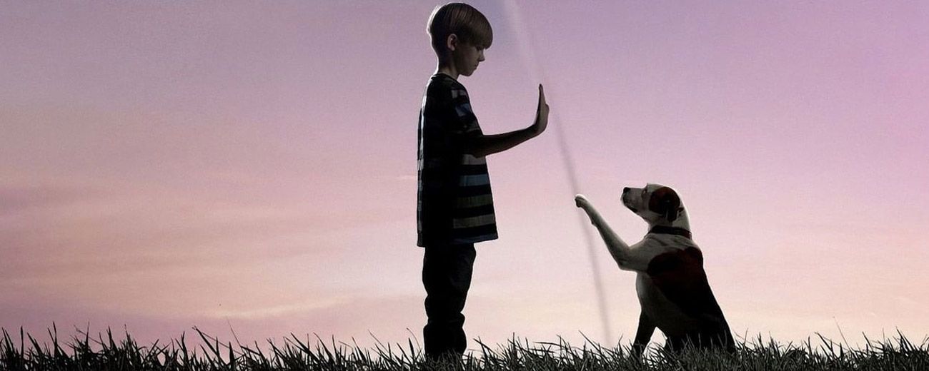 Zapomniane sci-fi po ponad 10 latach przeżywa drugą młodość na Prime Video. Widzowie z Polski przypomnieli sobie o serialu z gwiazdą Breaking Bad