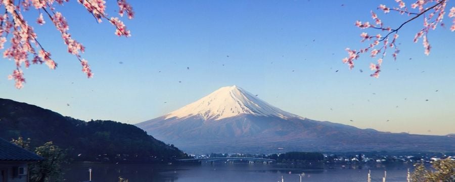 Data premiery Forza Horizon 6 wycieka w Forza Horizon 5. Zwiedzanie otwartego świata Japonii mamy rozpocząć niedługo