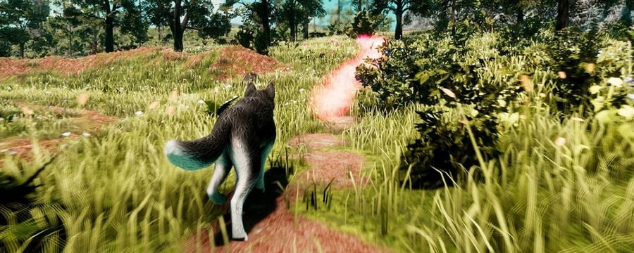 Nowa strategia fantasy o budowania miasta i „zabawie w boga” wychodzi z cienia. To prawdopodobnie ostatnia gra legendarnego dewelopera