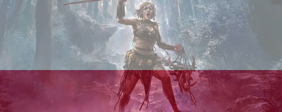 Path of Exile 1 i 2 mogą otrzymać polską wersję. Twórcy szukają polskiego tłumacza