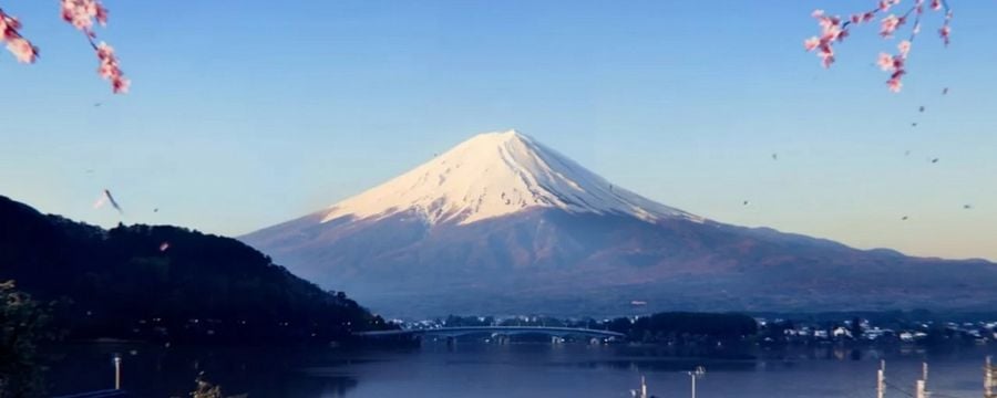 Fan Forza Horizon 6 stworzył mapę otwartego świata gry i od razu zachwycił społeczność. „Duże miasta to dokładnie to, czego brakowało w Forza Horizon 5”