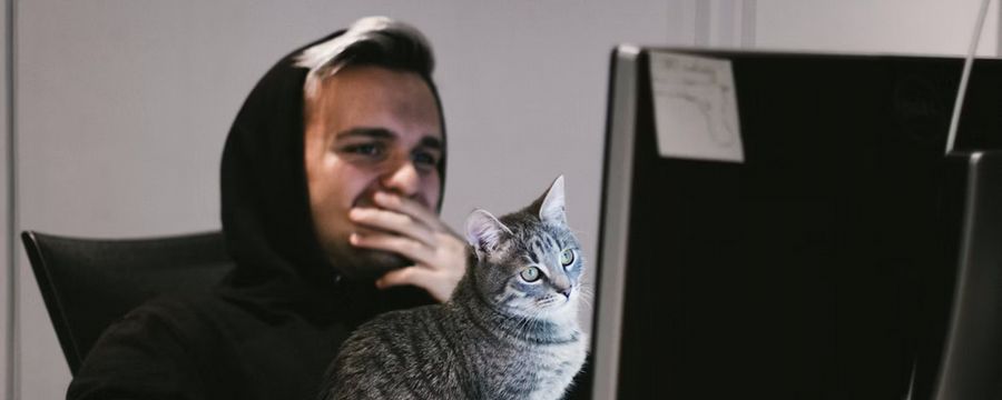 Część polskiego i globalnego internetu nie działa, w tym niektóre serwisy gamingowe