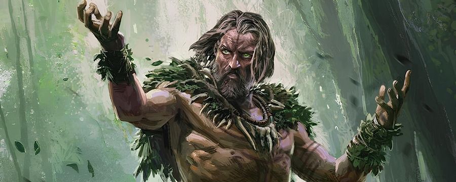 Czekaliśmy na to od 2023 roku. Do Path of Exile 2 wreszcie zmierza Druid, znamy datę