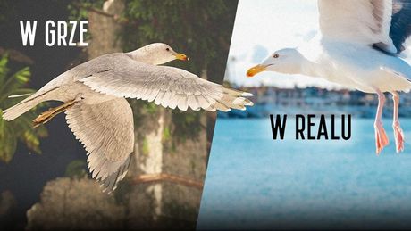 Horizon Forbidden West to graficzna petarda! Zobaczcie te detale