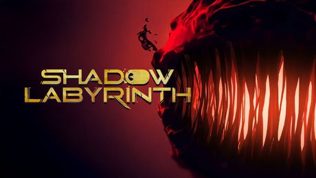 Shadow Labyrinth