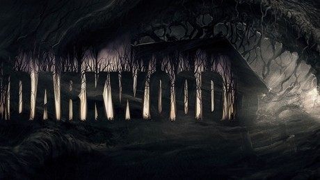 Testujemy Darkwood - ilu Polaków trzeba, żeby wyczarować świetny survival horror? 