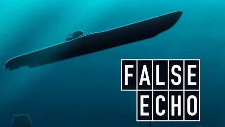 False Echo