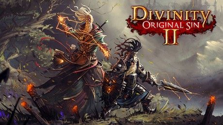Divinity: Original Sin II - Definitive Edition