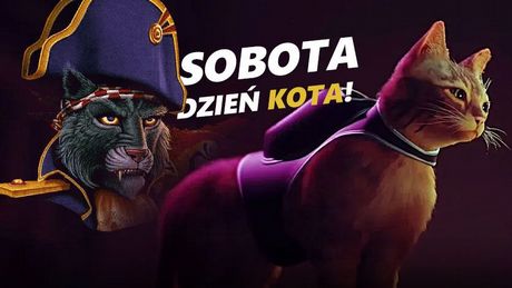 Od Kapitana Pazura do Skyrima - oto najlepsze gry dla kociarzy i kociar