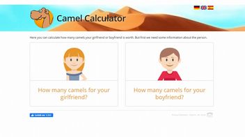 How Many Camels are You Worth? Calculator Conquers TikTok