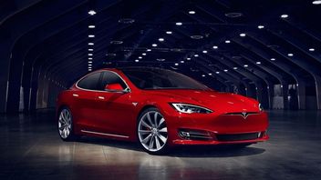 Tesla Suspends Production for 2.5 Weeks in Mysterious Circumstances