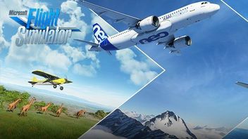 Microsoft Flight Simulator 2020 Review – The Biggest Sandbox Ever