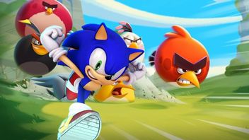 SEGA Finalized Angry Birds Dev Acquisition