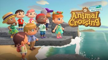 Animal Crossing: New Horizons Review – Just Chill, Relax and Play