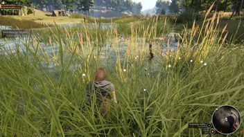 How to Get River Reeds in Bellwright