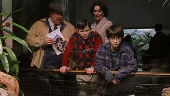 The first photos from the set of the Harry Potter TV series reveal a trip to the zoo. Vernon and Petunia are perfect, and the costumes capture the '90s vibe