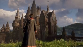 Hogwarts Legacy played in FPP mode is almost entirely a new game. „Everything is cool until you have to wrestle with spiders”