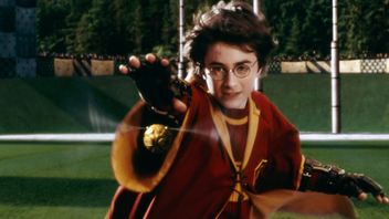 Harry Potter fans call it “one of the worst design choices in the later HP movies,” which must be changed in the HBO Max TV series