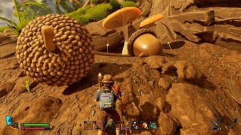 Looking for Acorn to build something in Grounded 2? We know where to find it