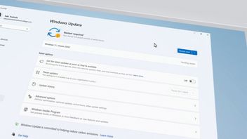 Microsoft Windows update mistake should be solved now. The most annoying bug is gone