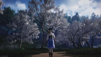 How to enter Taiping Mausoleum in Where Winds Meet