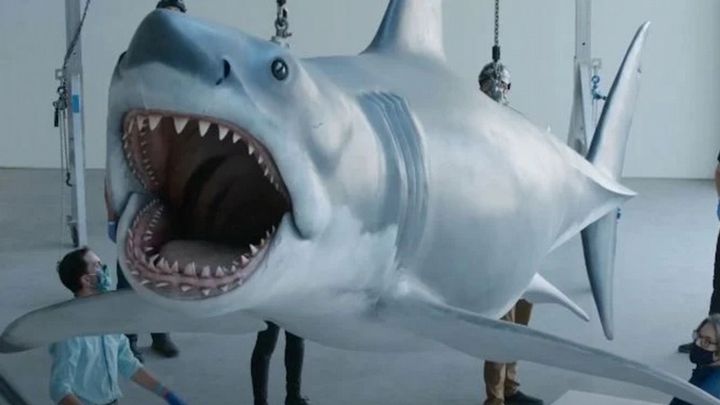 The Shark From Jaws Lands in a Museum