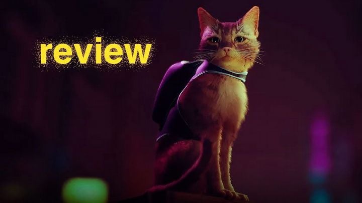 Stray Review: A Purr-fect Adventure