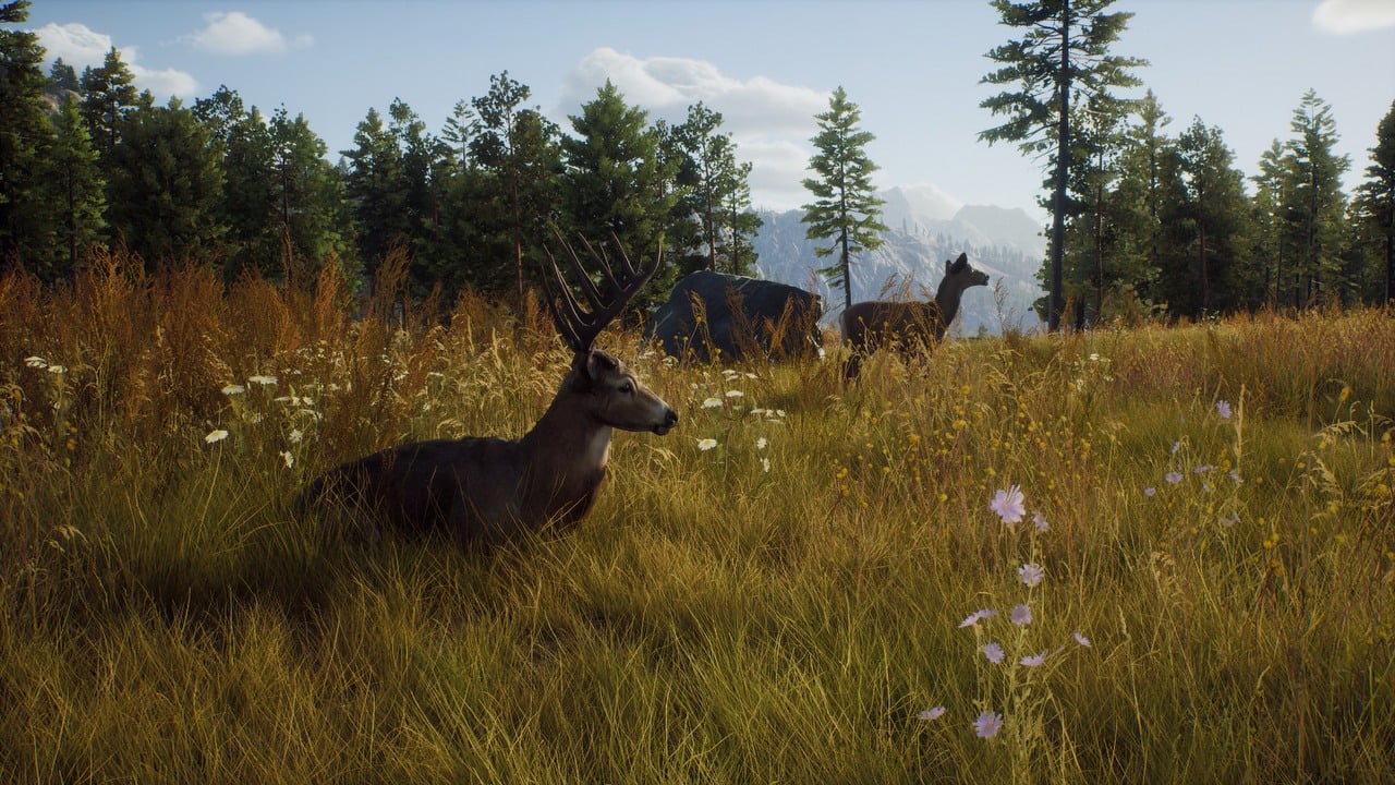 Way of The Hunter - All Animal Locations and List 