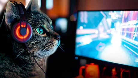 Seven Types of Customers that Still Frequent Internet Cafes in 2019