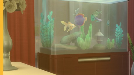 This week, we are trying to believe