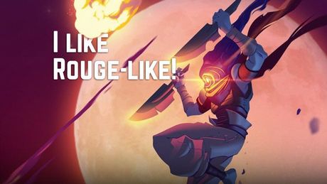 Top 13 Roguelike PC Video Games