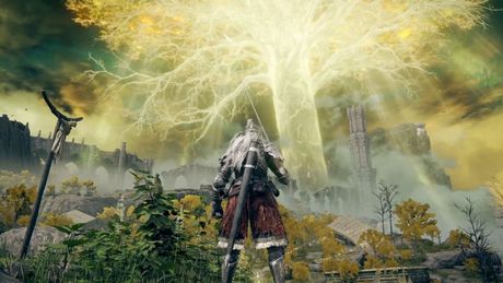 In Skyrim, Foxes Won't Lead Us to Treasures, but in Elden Ring Squirrel Will. Fan Discovered Another Secret