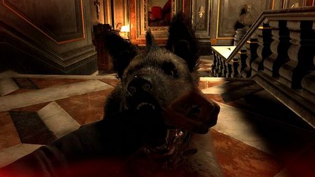 Can you kill dogs in Indiana Jones and the Great Circle