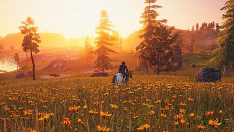 He completed their shared dream after her death. Old-style niche MMO has a soul that the giants lack