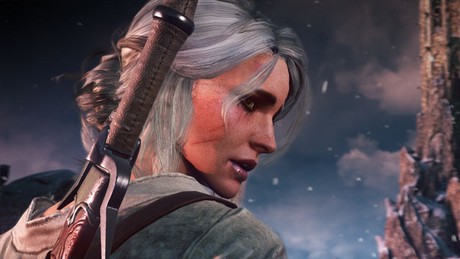 Unfinished stories in The Witcher series – loose ends swept under the rug