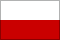 Polskie napisy i dialogi